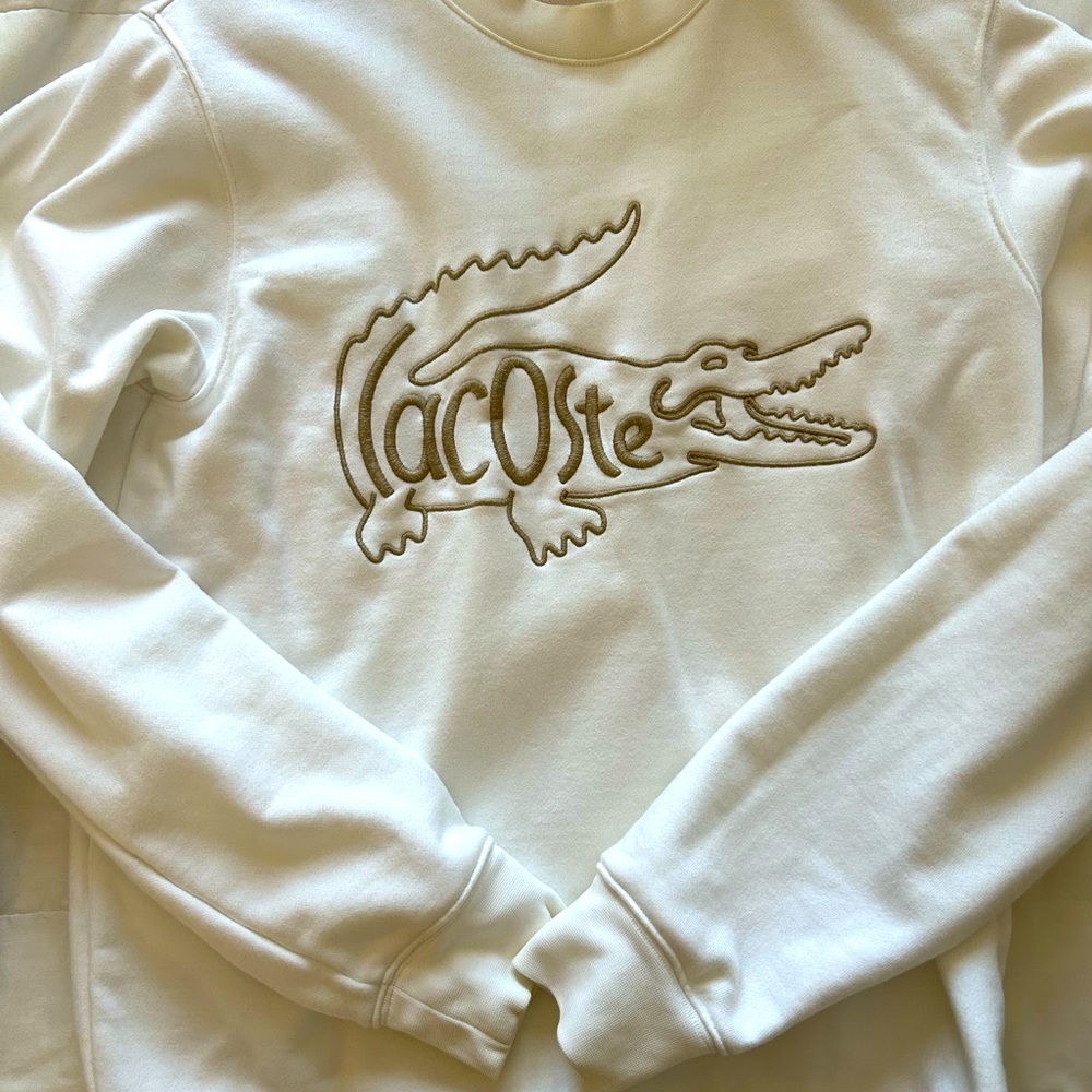 Lacoste Sweater worn a couple times only!